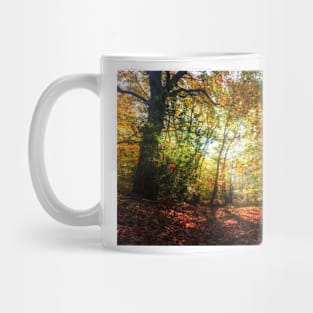 Sunlight Through Autumn Leaves Mug